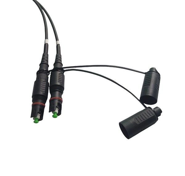 Customization Process for Upgraded ESCON Connectors for Power Systems